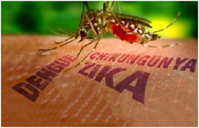 Bộ Y tế chỉ đạo các tỉnh thành phòng chống virus Zika
