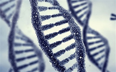 Phát hiện gene quyết định tuổi con người ‘mất trinh’