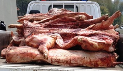 Hú hồn: Quy trình sản xuất thịt hun khói tại Trùng Khánh, Cao Bằng