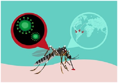 Lào phát hiện người đầu tiên nhiễm virus Zika