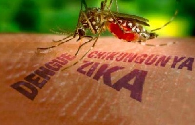 Một người Australia bị nhiễm virus Zika sau khi đi du lịch tại Việt Nam