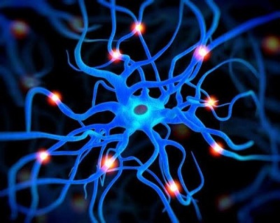 Tế bào thần kinh được ‘sạc pin’ như mới sau khi bị chấn thương