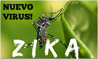 Hiểm họa cảnh bảo các quốc gia từ virus Zika do muỗi đốt