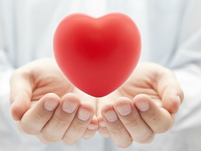Những điều bí ẩn về trái tim bạn đã biết hay chưa?