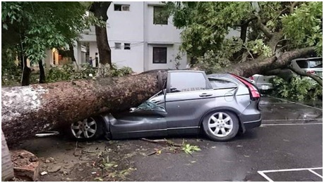 Sau giông bão, bảo hiểm ô tô phải chi tới 4,65 tỷ đồng