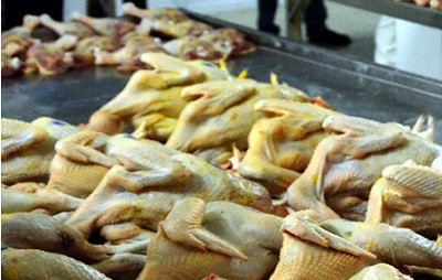 Phát hiện thức ăn chăn nuôi gà chứa chất gây ung thư