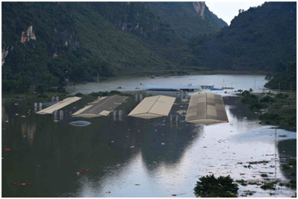 Trung Quốc: Lũ lụt khiến hàng nghìn con lợn chết trôi sông
