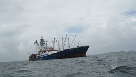 Tàu cá chở 49 người mất tích, 2 thành viên là người Việt Nam