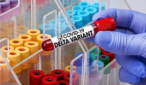 Biến thể Delta: cách lây lan, tác dụng của vắc xin, cách đặt tên