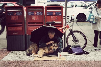Những bức ảnh 'chó sống hạnh phúc bên chủ vô gia cư' lay động trái tim hàng triệu người