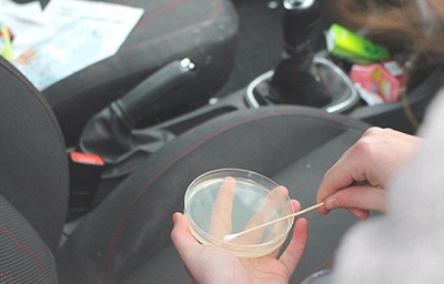 Bạn đã biết vị trí nào bên trong ôtô có nhiều vi khuẩn nhất hay chưa?