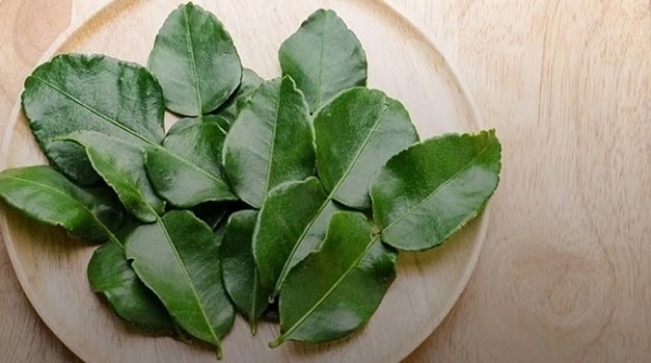 5 loại lá tự nhiên giúp tóc mọc nhanh, giảm rụng