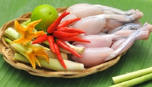 Cách chế biến thịt cóc an toàn, món ăn ngon từ thịt cóc
