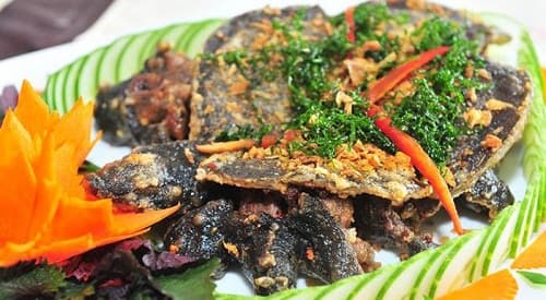 Kinh nghiệm chọn ba ba ngon, mẹo sơ chế ba ba không bị tanh