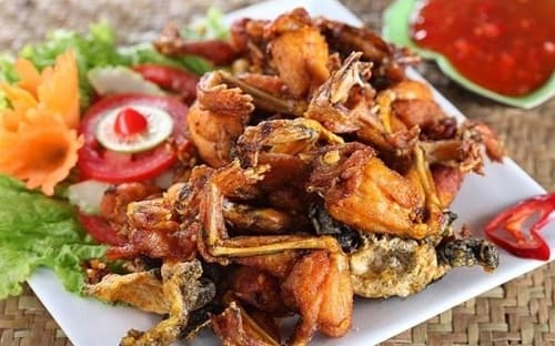 Món ngon từ thịt ếch, cách chọn thịt ếch ngon, phân biệt ếch đồng với ếch nuôi